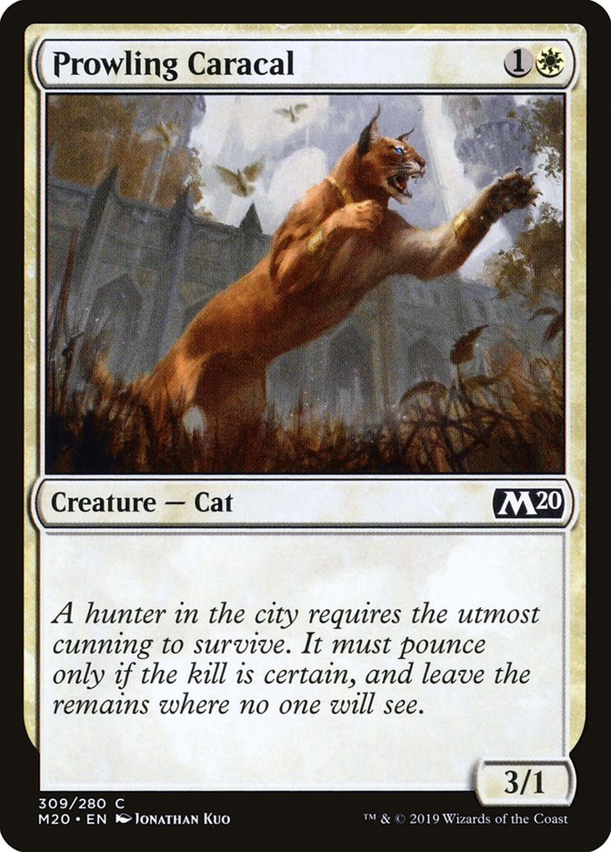 Prowling Caracal [Core Set 2020] | Rock City Comics