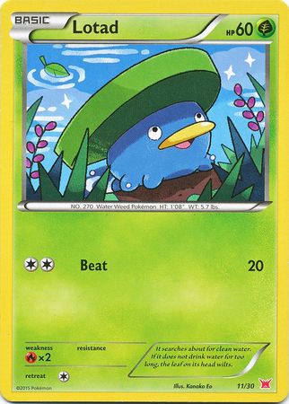 Lotad (11/30) [XY: Trainer Kit 2 - Latias] | Rock City Comics