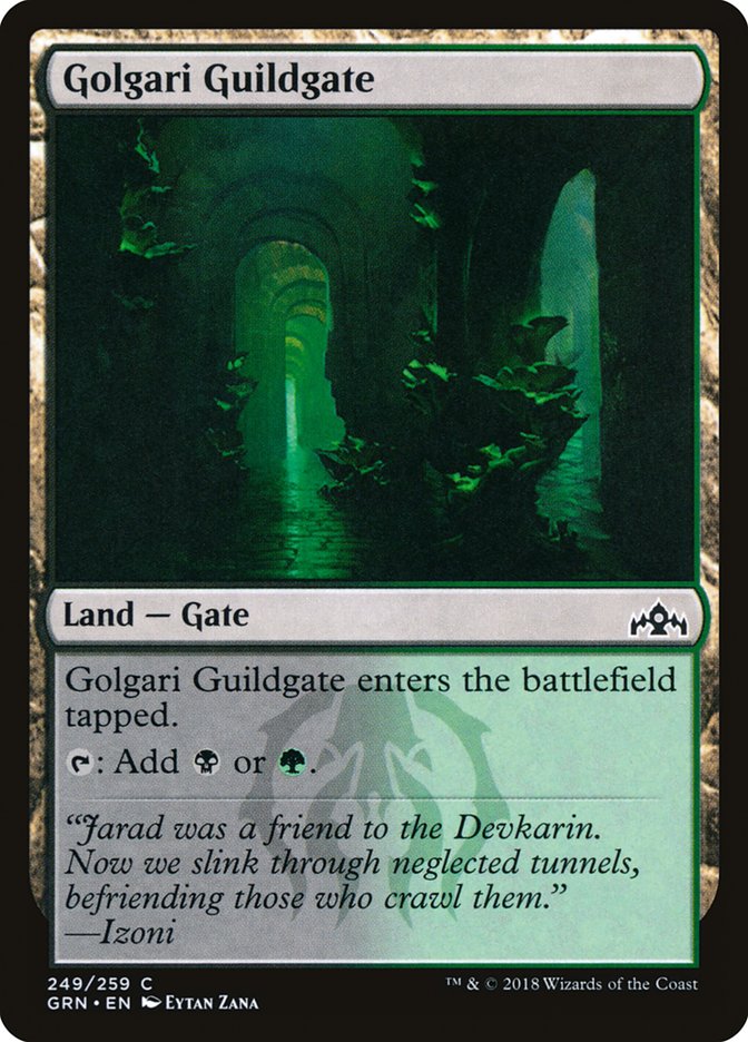Golgari Guildgate (249/259) [Guilds of Ravnica] | Rock City Comics