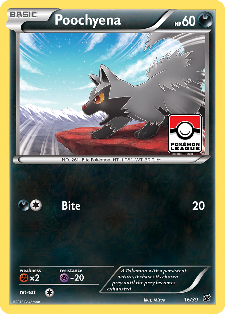 Poochyena (16/39) [XY: Kalos Starter Set] | Rock City Comics