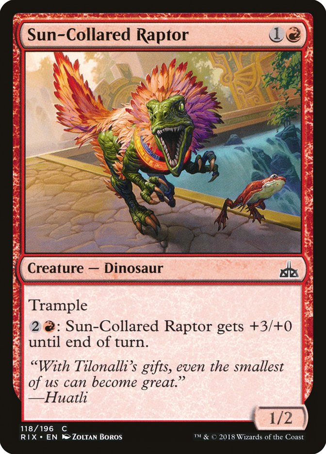 Sun-Collared Raptor [Rivals of Ixalan] | Rock City Comics