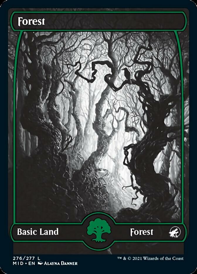 Forest (276) [Innistrad: Midnight Hunt] | Rock City Comics