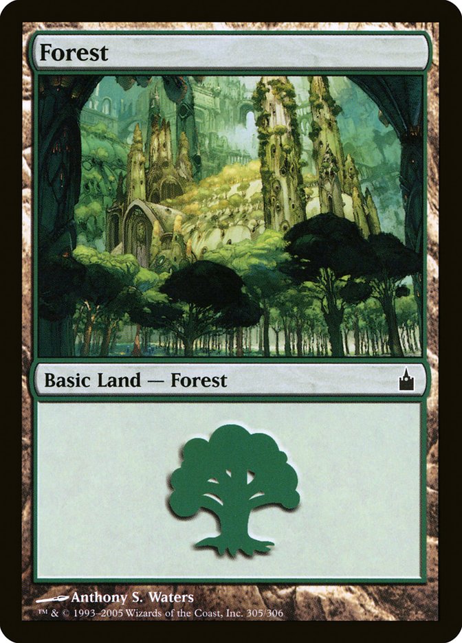 Forest (305) [Ravnica: City of Guilds] | Rock City Comics