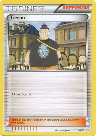 Tierno (20/30) [XY: Trainer Kit 3 - Pikachu Libre] | Rock City Comics