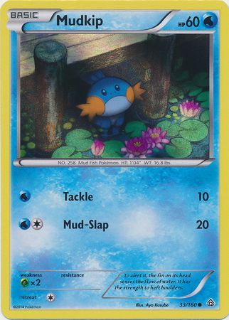 Mudkip (33/160) (Sheen Holo) [XY: Primal Clash] | Rock City Comics