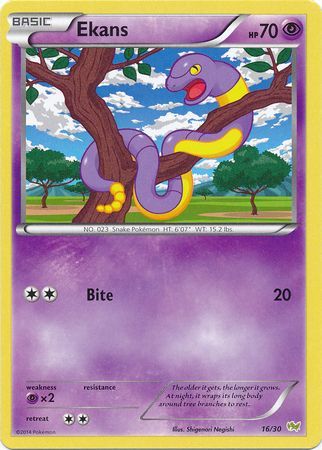 Ekans (16/30) [XY: Trainer Kit - Noivern] | Rock City Comics