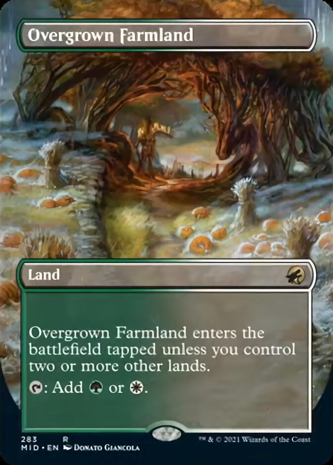 Overgrown Farmland (Borderless) [Innistrad: Midnight Hunt] | Rock City Comics