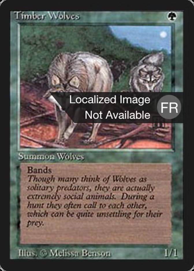 Timber Wolves [Foreign Black Border] | Rock City Comics