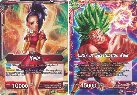 Kale // Lady of Destruction Kale [TB1-002] | Rock City Comics