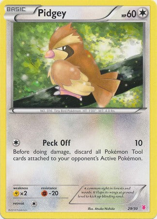 Pidgey (29/30) [XY: Trainer Kit 1 - Wigglytuff] | Rock City Comics