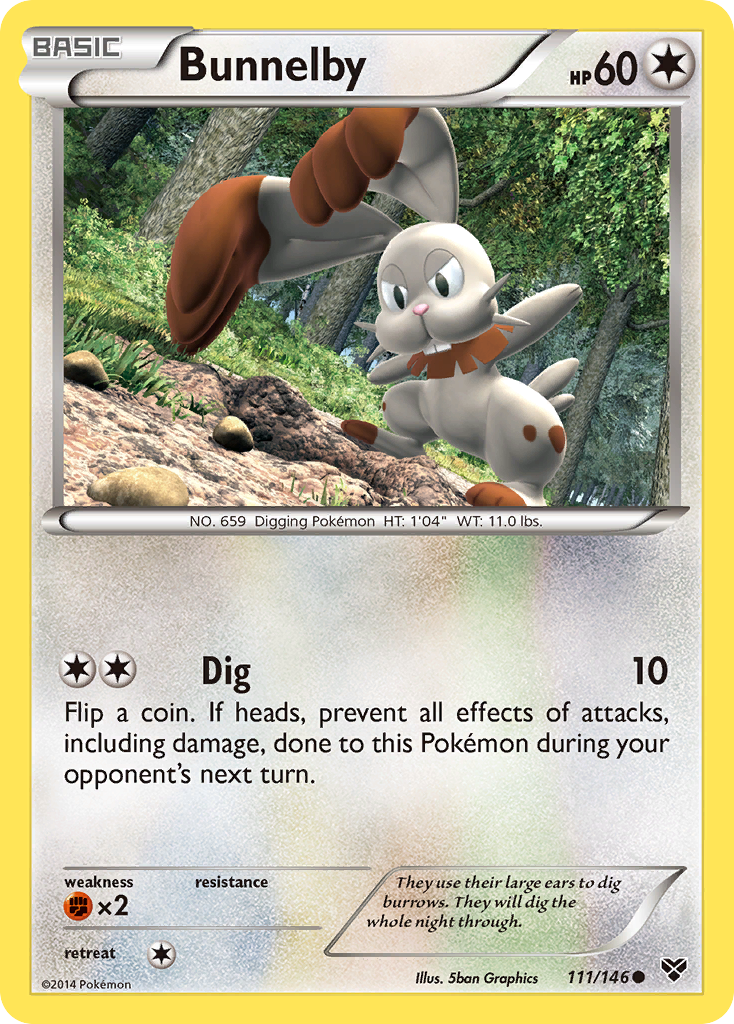 Bunnelby (111/146) [XY: Base Set] | Rock City Comics