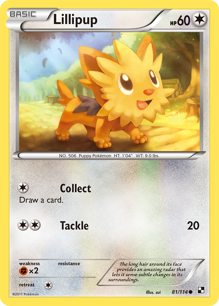 Lillipup (81/114) [Black & White: Base Set] | Rock City Comics