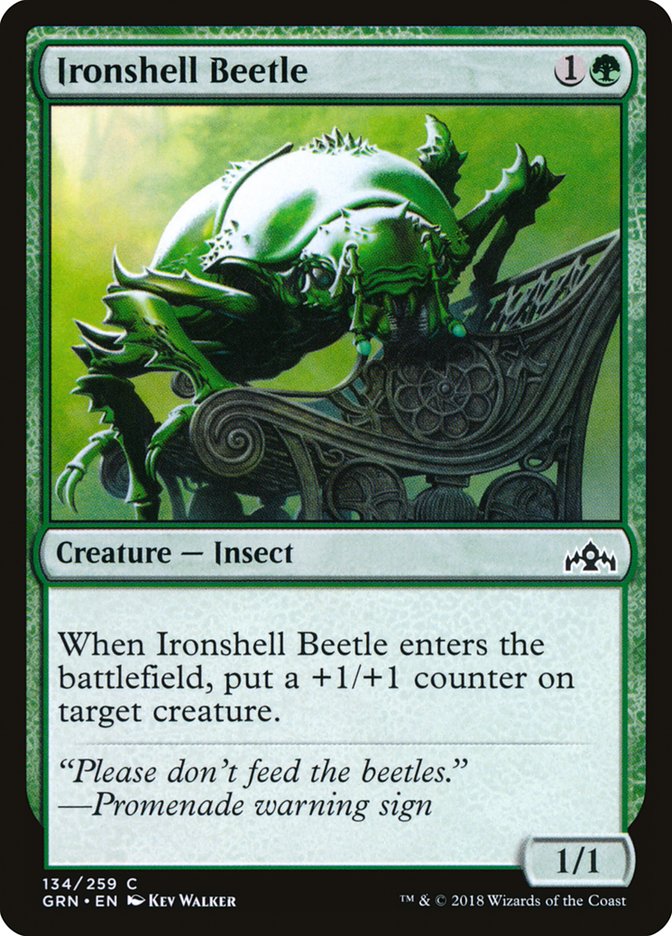 Ironshell Beetle [Guilds of Ravnica] | Rock City Comics