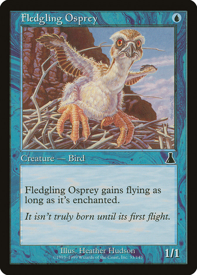 Fledgling Osprey [Urza's Destiny] | Rock City Comics