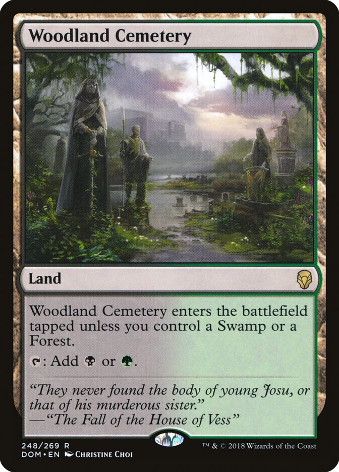 Woodland Cemetery [Dominaria] | Rock City Comics