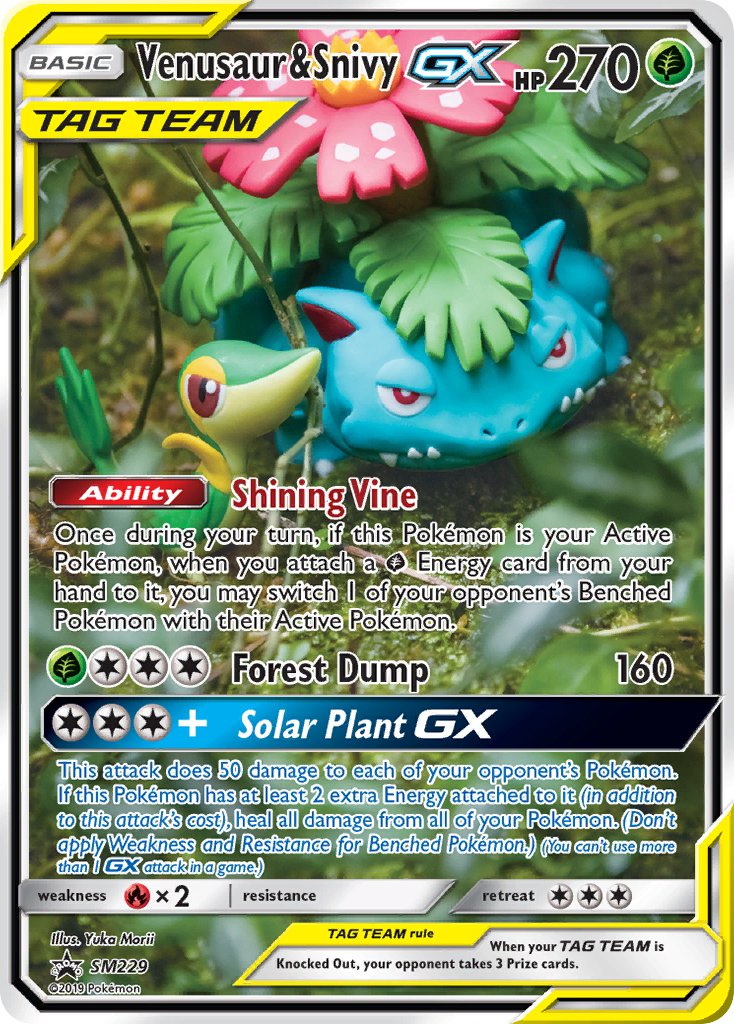 Venusaur & Snivy GX (SM229) [Sun & Moon: Black Star Promos] | Rock City Comics