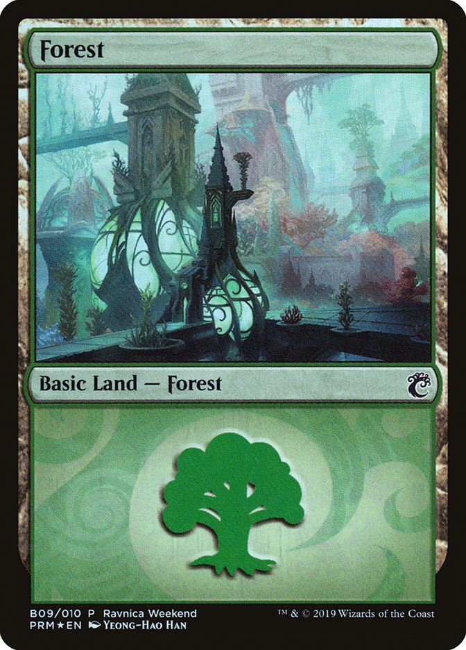 Forest (B09) [Ravnica Allegiance Guild Kit] | Rock City Comics