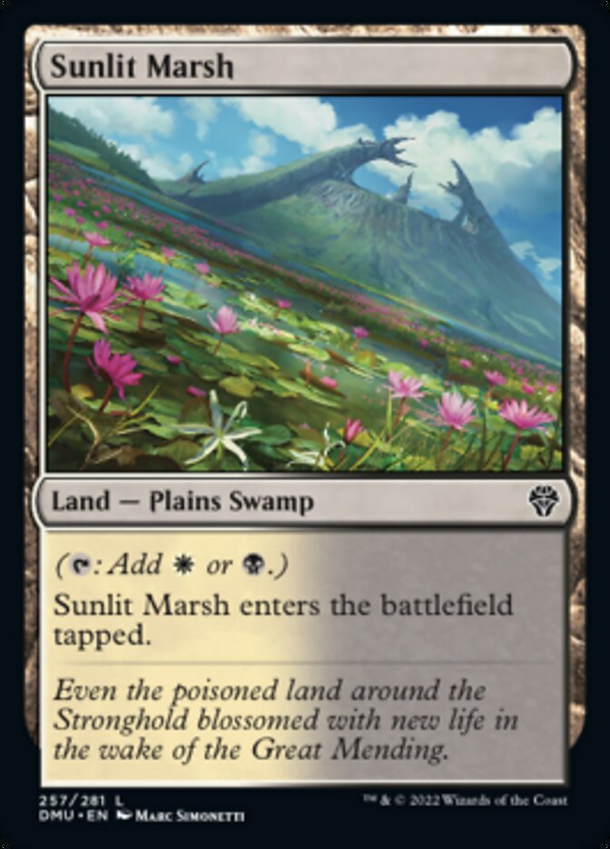 Sunlit Marsh [Dominaria United] | Rock City Comics