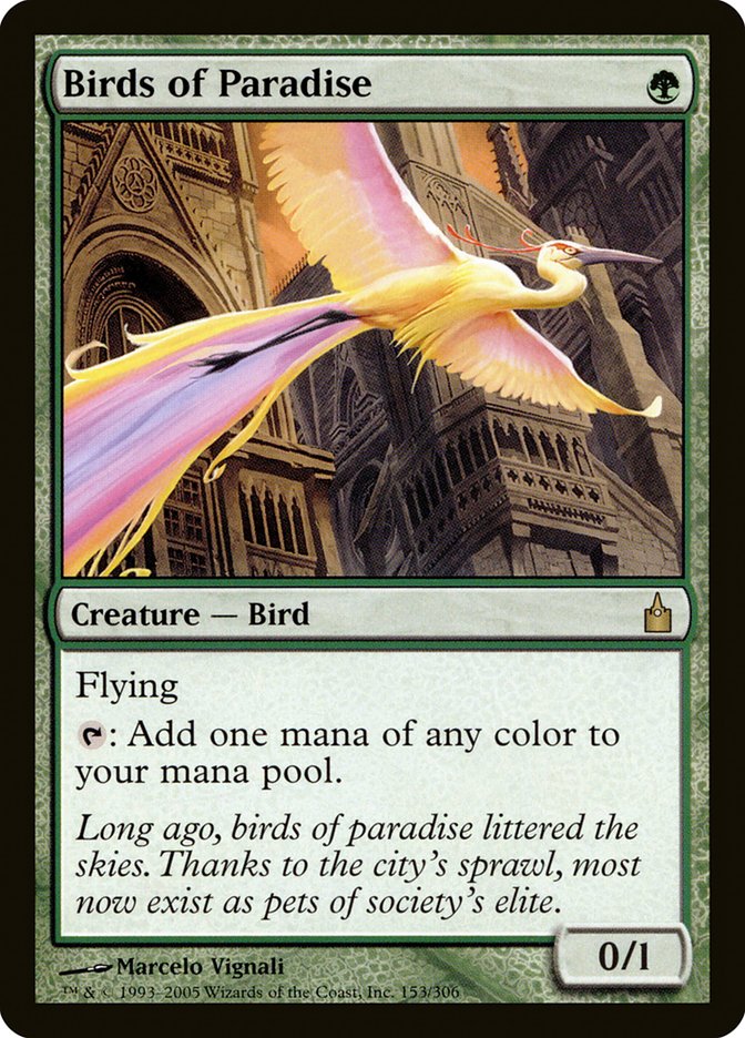 Birds of Paradise [Ravnica: City of Guilds] | Rock City Comics