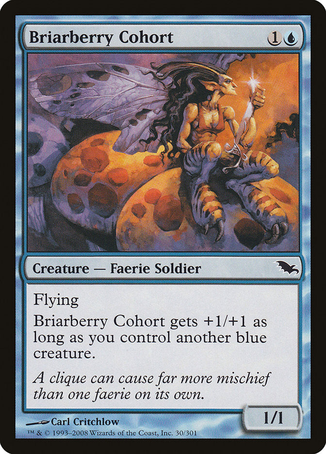 Briarberry Cohort [Shadowmoor] | Rock City Comics