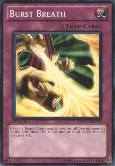 yugioh dragon spell and trap cards DUAD-AE078 Holic (UR) TCG Corner Dragon Spell Yu-Gi-Oh! TCG Ultra