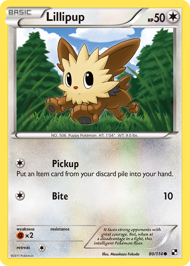 Lillipup (80/114) [Black & White: Base Set] | Rock City Comics