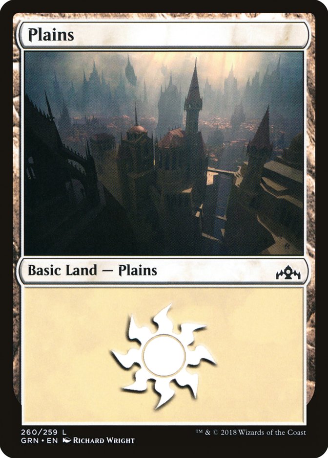 Plains (260) [Guilds of Ravnica] | Rock City Comics
