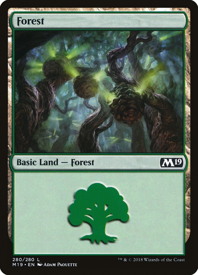 Forest (280) [Core Set 2019] | Rock City Comics