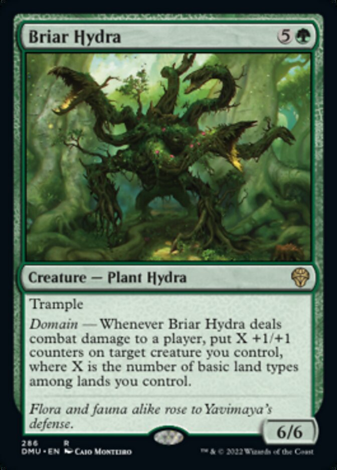 Briar Hydra [Dominaria United] | Rock City Comics