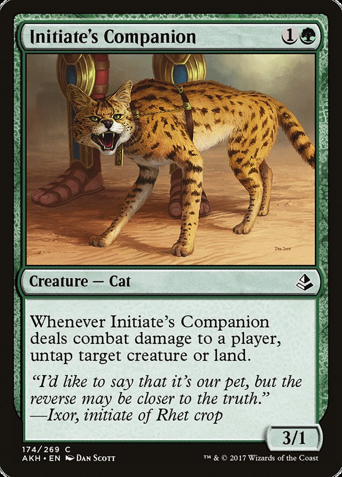 Initiate's Companion [Amonkhet] | Rock City Comics