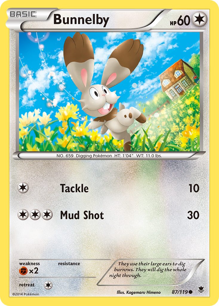 Bunnelby (87/119) [XY: Phantom Forces] | Rock City Comics