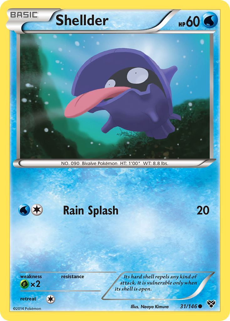 Shellder (31/146) [XY: Base Set] | Rock City Comics