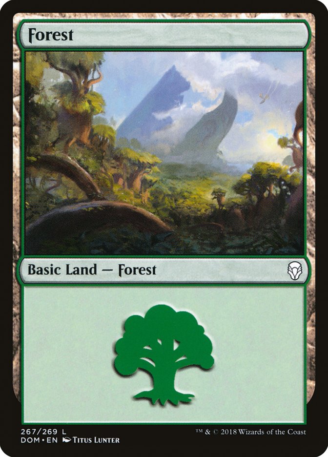 Forest (267) [Dominaria] | Rock City Comics