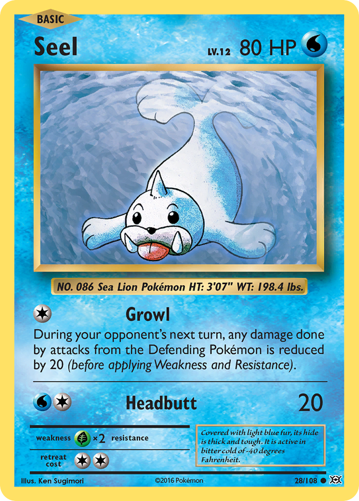 Seel (28/108) [XY: Evolutions] | Rock City Comics