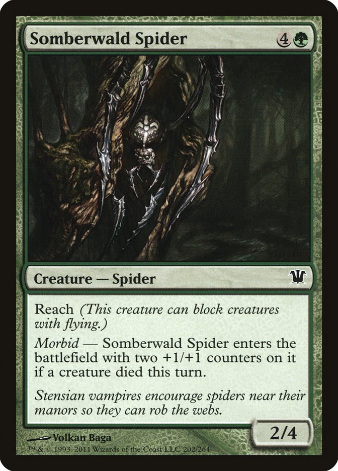 Somberwald Spider [Innistrad] | Rock City Comics