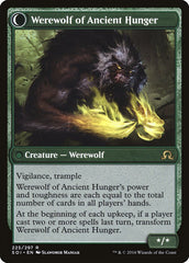 Sage of Ancient Lore // Werewolf of Ancient Hunger [Shadows over Innistrad] | Rock City Comics