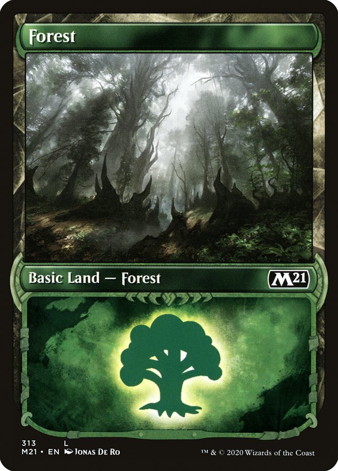 Forest (313) (Showcase) [Core Set 2021] | Rock City Comics