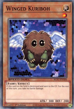 Winged Kuriboh [SGX1-ENA06] Common | Rock City Comics