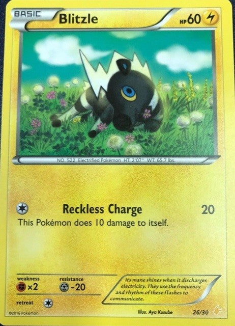 Blitzle (26/30) [XY: Trainer Kit 3 - Pikachu Libre] | Rock City Comics