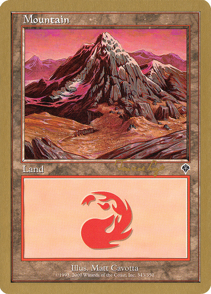 Mountain (tvdl343) (Tom van de Logt) [World Championship Decks 2001] | Rock City Comics