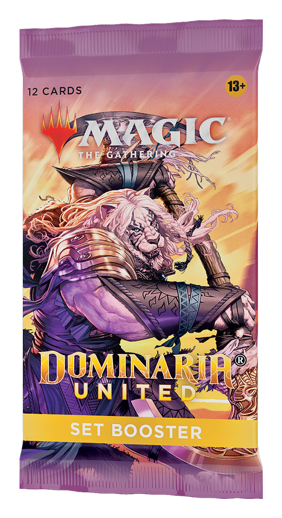 Dominaria United - Set Booster Pack | Rock City Comics