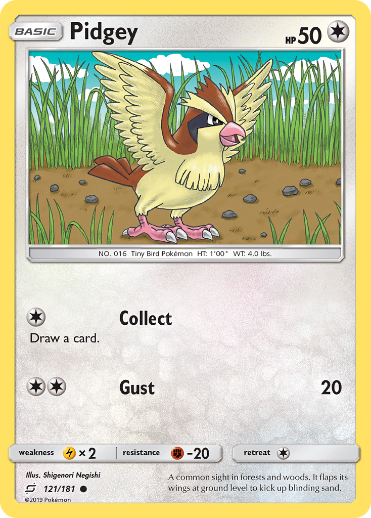 Pidgey (121/181) [Sun & Moon: Team Up] | Rock City Comics