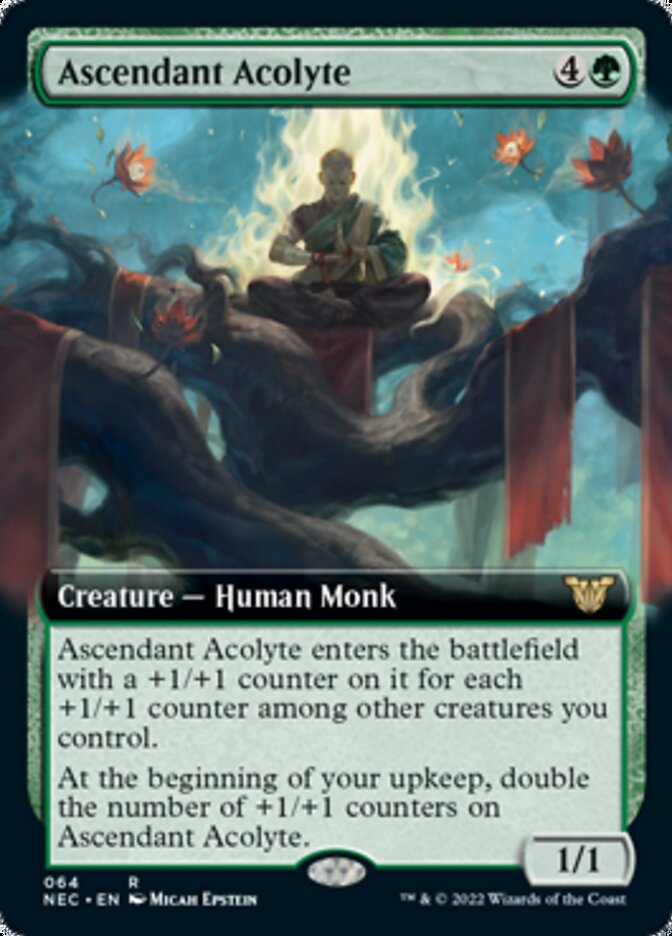 Ascendant Acolyte (Extended) [Kamigawa: Neon Dynasty Commander] | Rock City Comics