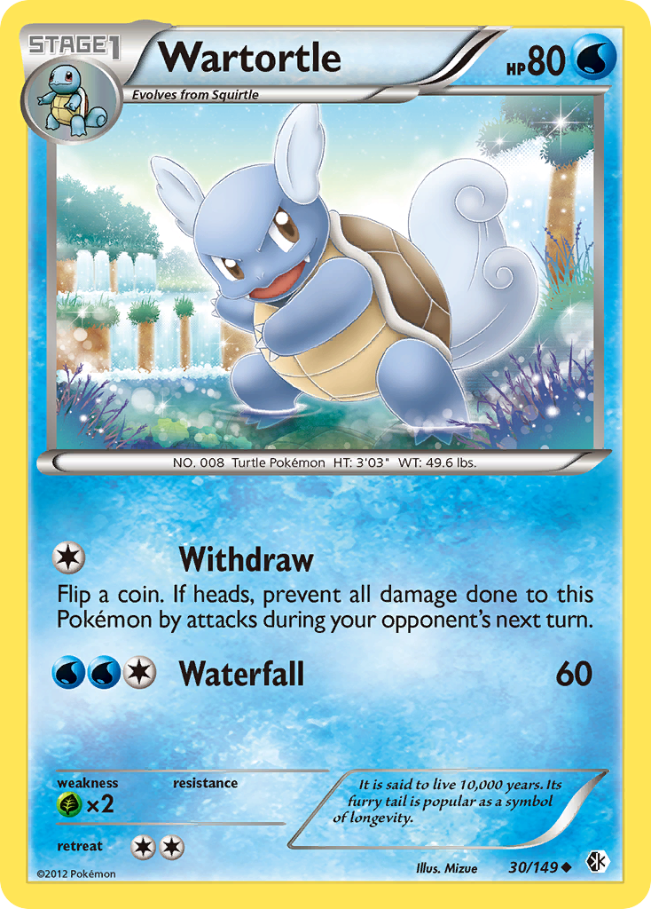 Wartortle (30/149) [Black & White: Boundaries Crossed] | Rock City Comics