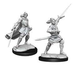 Critical Role Unpainted Minis: HALF-ELF PALADIN XHORHAS | Rock City Comics