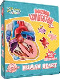 Dr. Livingston Jr's  Kid's Jigsaw Puzzles - Human Heart | Rock City Comics