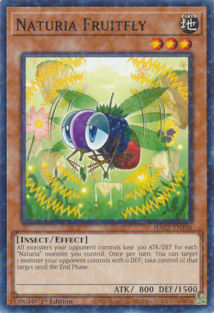 Naturia Fruitfly (Duel Terminal) [HAC1-EN106] Common | Rock City Comics