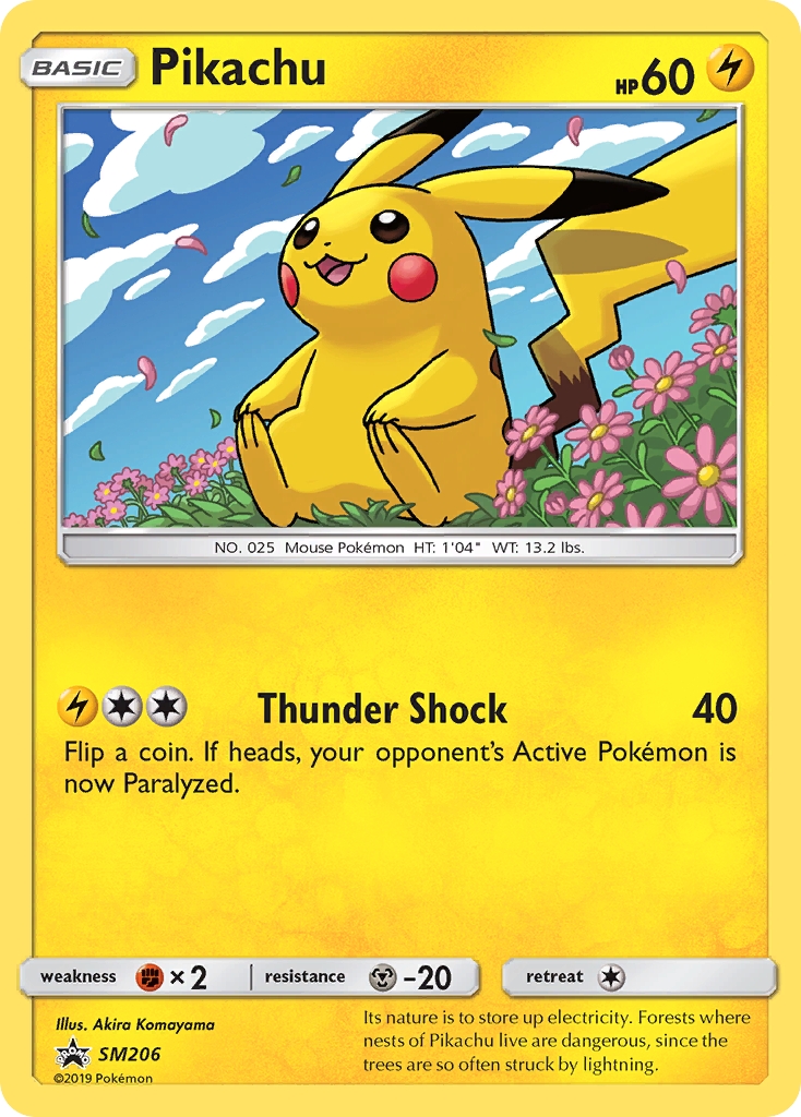 Pikachu (SM206) [Sun & Moon: Black Star Promos] | Rock City Comics