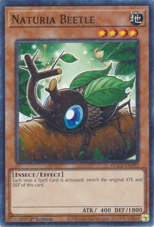 Naturia Beetle (Duel Terminal) [HAC1-EN093] Common | Rock City Comics