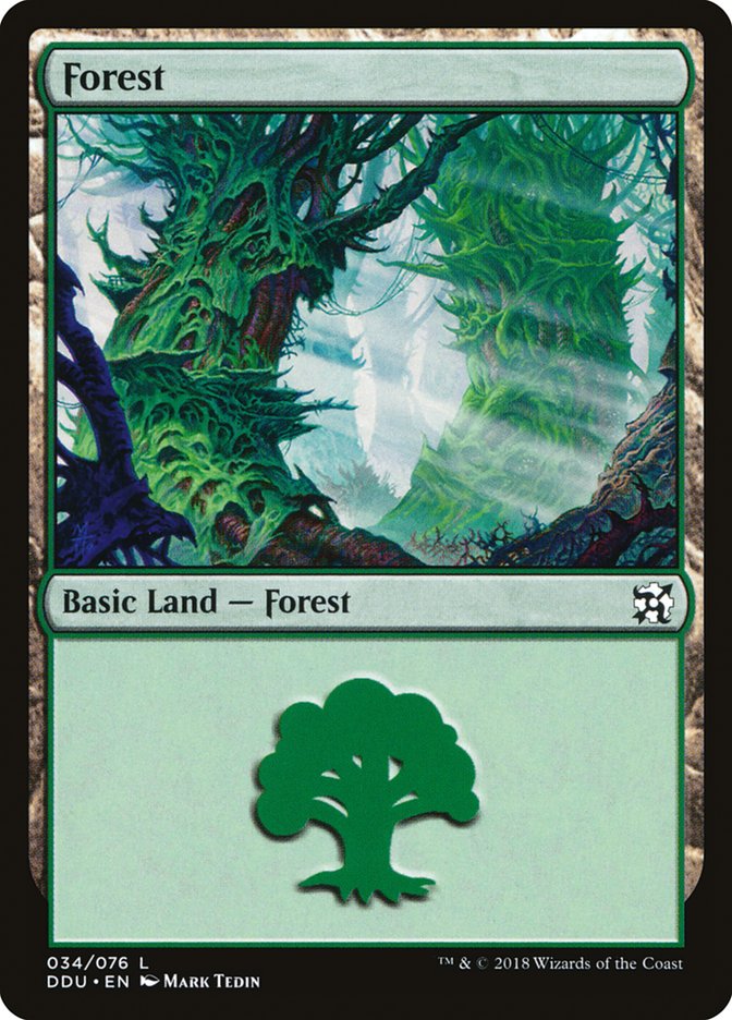 Forest (34) [Duel Decks: Elves vs. Inventors] | Rock City Comics